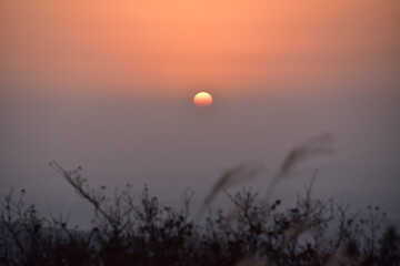 억새와 일몰의 둥근 해 - 해에 초점
