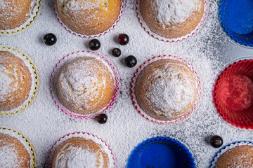 Sweet homemade cupcakes are sprinkled with white powdered sugar and lie on a gray tray. A place for text advertising