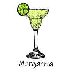 Margarita cocktail. Engraving. Hand drawn drink for bar and pub. Stock vector illustration.