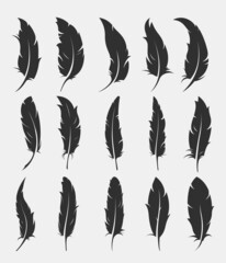Set Three Isolated Feathers Writing