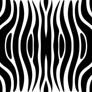 Animal skin ornament. Curved stripes seamless pattern. Zebra fur ornate. Wild animals motif image. Wildlife, natural texture. Curves wallpaper. Digital paper, textile print, web design. Vector work
