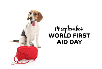 Awareness card for World First Aid Day with cute dog