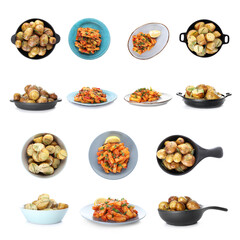 Different potato dishes on white background