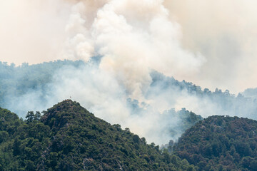 Smoke from a forest fire rising over Marmaris resort town of Turkey.