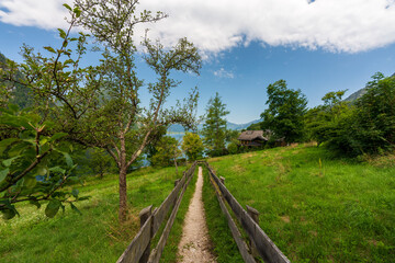 Obraz premium Wanderweg am Hallstätter See