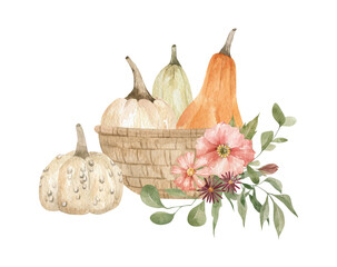 Watercolor autumn composition with pumpkins in the basket,  floral elements.  Fall vegetables. 