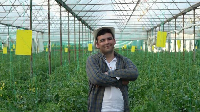 Portrait of a farmer in his greenhouse, where organic tomatoes are grown. A satisfied entrepreneur stands on his plantation and looks at the camera. A plump American farmer grows tomatoes