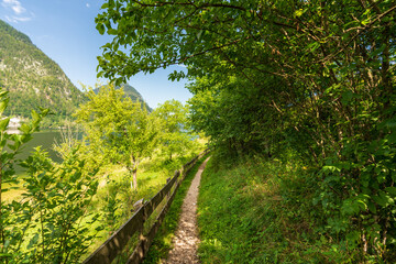 Fototapeta premium Wanderweg am Hallstätter See