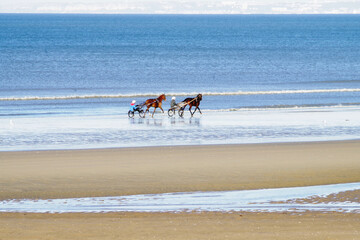 Deux entraineurs en sulky avec leurs chevaux sur la plage de Cabourg en Normandie