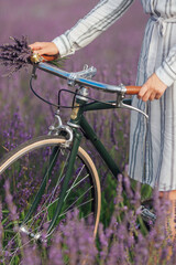 Obraz premium Young woman with retro bicycle and lavender bouquet on violet flowers field background