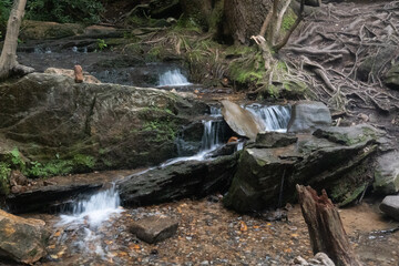 Water flows through a creek, long exposure.
