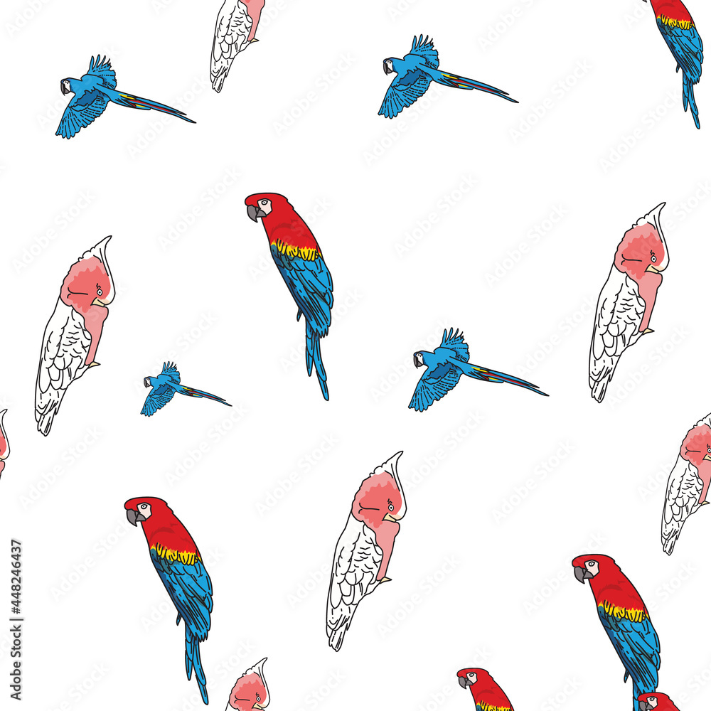 Wall mural Vector white background tropical birds, parrots, macaw, exotic cockatoo birds. Seamless pattern background