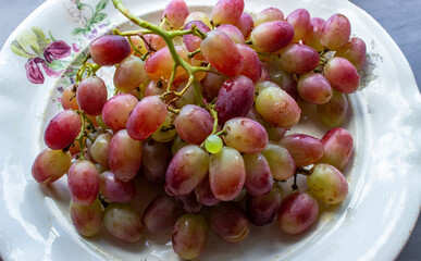 Beautiful background with wet blackcurrant berries in metal bowl