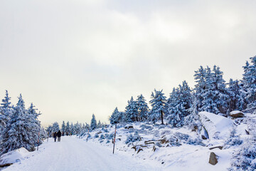 Hikers people in snowed in landscape Brocken mountains Harz Germany.