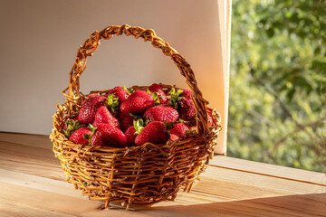 Fototapeta na wymiar Ripe strawberries in wicker basket in rustic style. Bright background on theme of gardening - harvest of berries and fruits