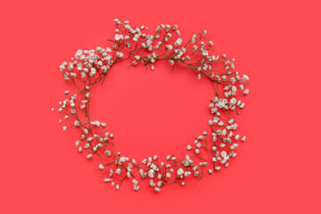 Frame made of beautiful gypsophila flowers on color background