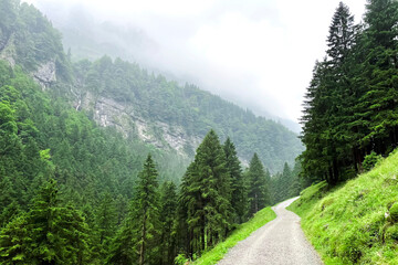 Fototapeta na wymiar Mountain landscape in Switzerland. The nature of the Swiss Alps.
