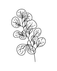 Botanical natural and minimal tropical leaves hand drawn isolated elements for print, cover, wallpaper and stories. Vector illustration