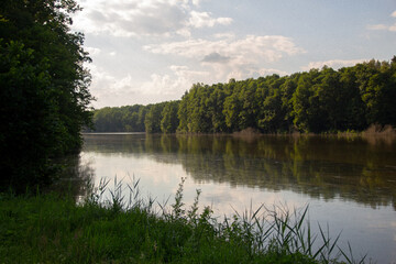 Fototapeta premium lake in the forest