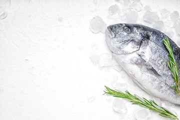 Raw dorado fish on light background