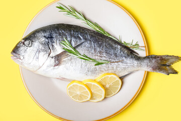 Plate with raw dorado fish on color background