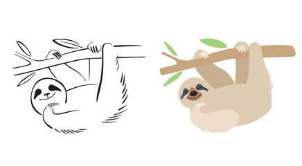 A cute sloth hangs on a branch. Line drawing and shaping color graphics. Options for the logo © Евгений Казанцев