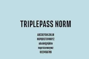 Vintage decorative font with label design and background pattern