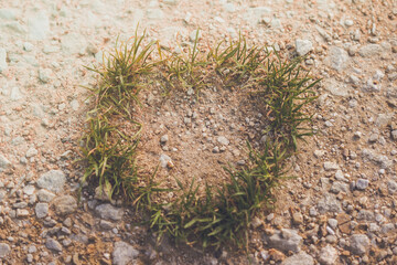 Grasherz auf hellbraunem Boden