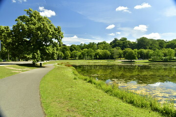 Chemin pour la promenade le long de l'étang dans un cadre bucolique aux Etangs Mellaerts à Woluwe-St-Pierre 