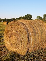 hay bale in the field