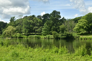 Obraz na płótnie Canvas Contraste entre les zones d'ombre et sous les éclaircies au grand étang entouré de végétation luxuriante au parc de Woluwe à Woluwe-St-Pierre 