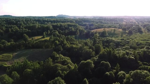 Aerial shot in Latvia.Latgale.forest in summer