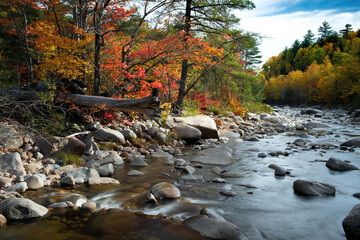 New England Forest and stream in fall