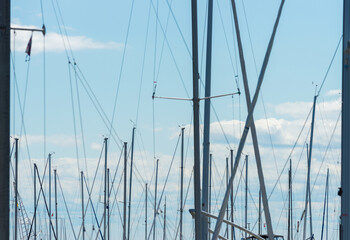 boats in the harbor