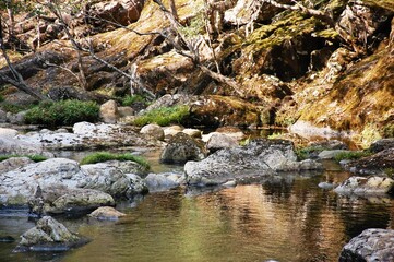 Naklejka na ściany i meble Aguas de un río en la montaña de Galicia