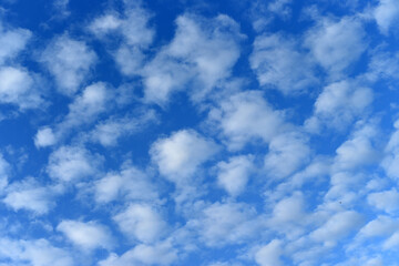 Small white clouds float on the bright blue sky, similar to each other, creating a repeating pattern.