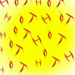 The word Hot is made from chili peppers. Seamless patterns.3D rendering