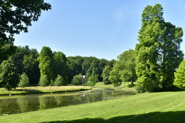 L'arbre majestueux au bord d'un bras du Grand Etang au parc de Tervuren à l'est de Bruxelles