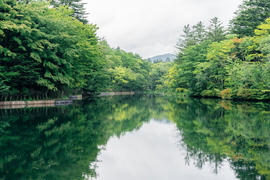 東京