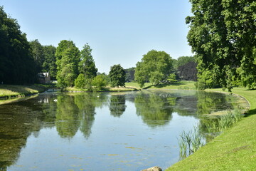 Les arbres de toutes tailles se refl&eacute;tant dans les eaux stagnantes d'un des &eacute;tangs du parc de Tervuren &agrave; l'est de Bruxelles