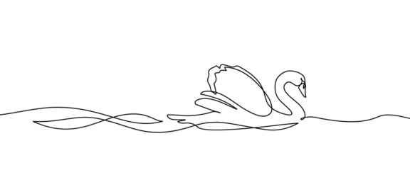 Swan bird on water surface in continuous line art drawing style. Mute swan black linear sketch isolated on white background. Vector illustration