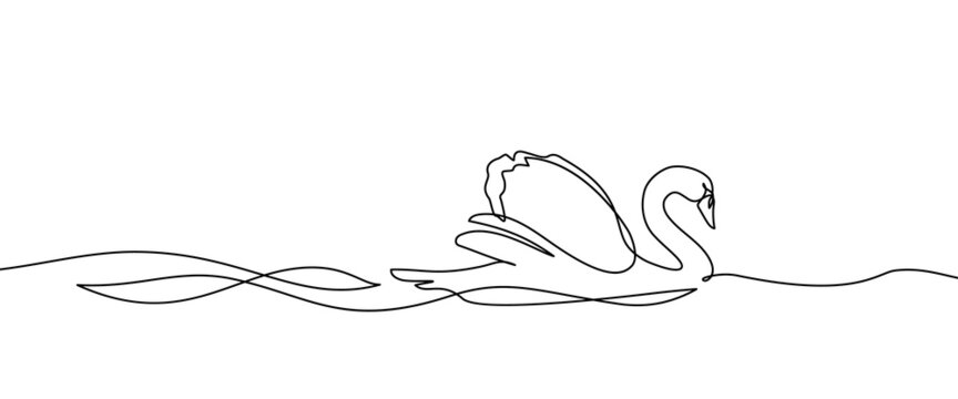 Swan bird on water surface in continuous line art drawing style. Mute swan black linear sketch isolated on white background. Vector illustration