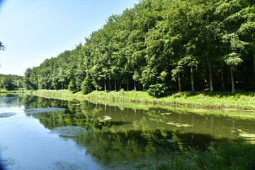 Les arbres majestueux en rangées se reflétant dans les étangs longs et étroits au parc de Tervuren à l'est de Bruxelles