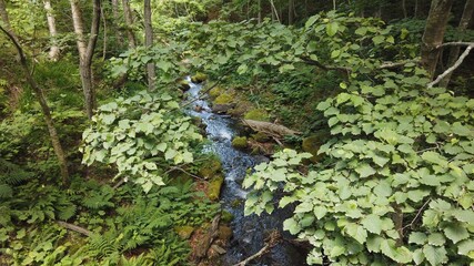 カムイワッカ湯の滝 秘湯 温泉 知床半島 世界遺産 知床国立公園 北海道