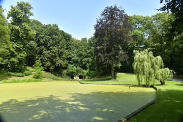 L'étang couvert de micro-organismes verts dû à la chaleur dans un environnement bucolique au parc des Trois Fontaines à Vilvoorde 