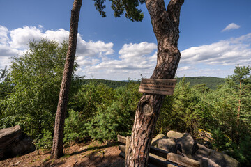 Taubenkopf im Pfälzerwald