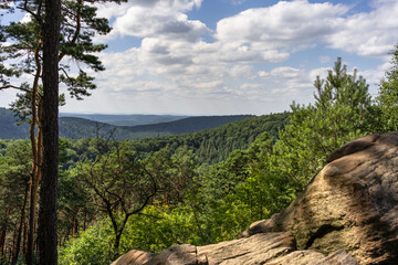 Taubenkopf im Pfälzerwald
