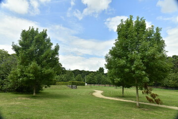 Chemin entre les arbres isolés au parc des Trois Fontaines à Vilvoorde 