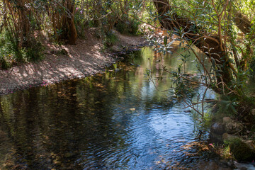fresh stream of water on the region of Benemola