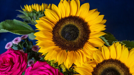 Sunflowers, roses, flowers bouquet